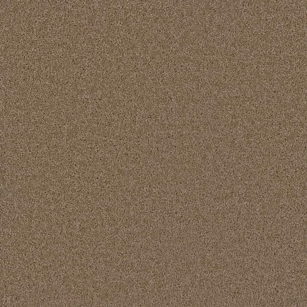 TrafficMaster Matchless - Prairie - Beige 24 oz. SD Polyester Texture Installed Carpet