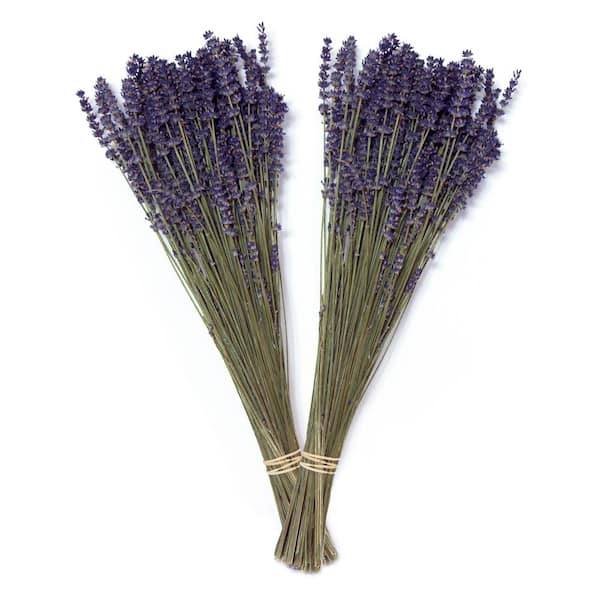 Dried Lavender Flower Stalks and Buds Qty: 1 Ounce (Lavandula