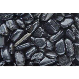 3/4 in. to 1.5 in. Polished Black Pebbles (20 lbs. Bag)