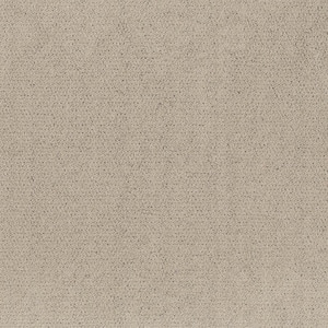 Night Owl - Pottery-Beige 12 ft. 42 oz. SD Polyester Pattern Intalled Carpet