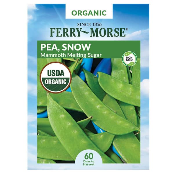 Ferry-Morse Organic Pea Mammoth Melting Sugar Fruit Seed