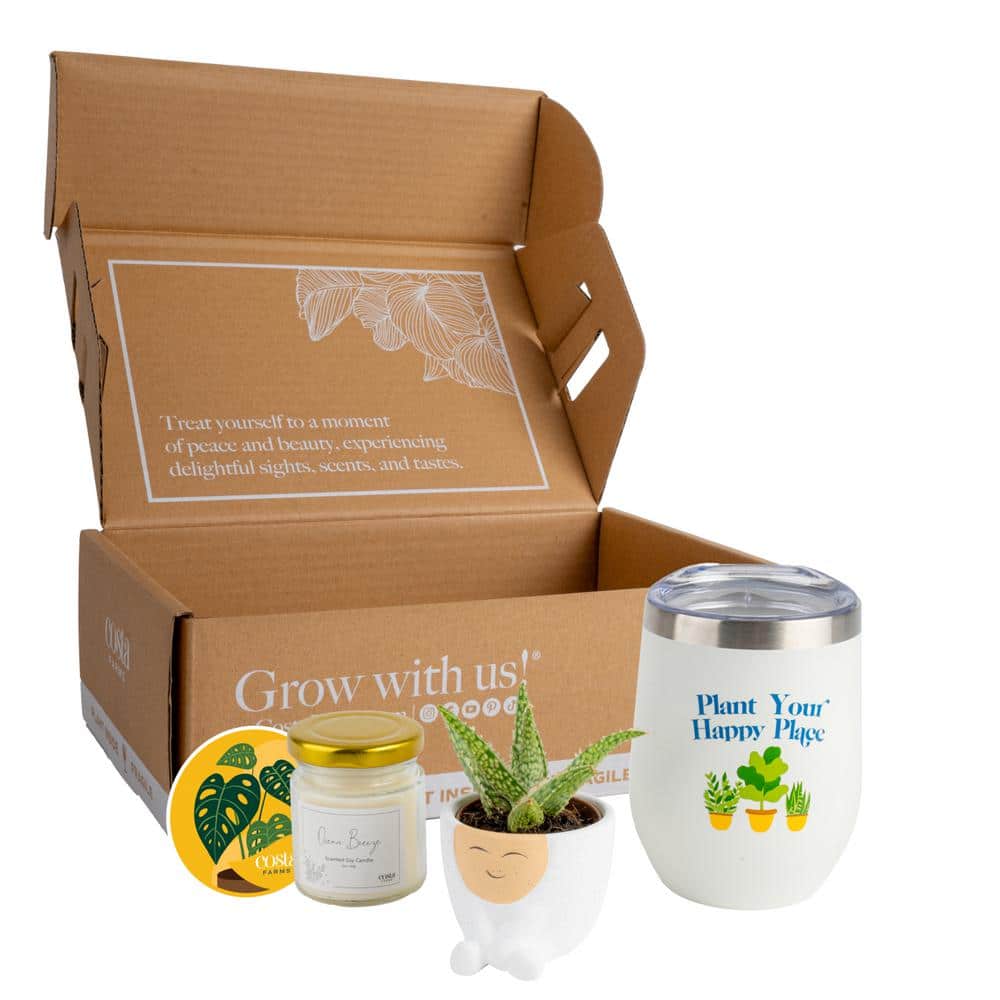 Gift Occasion Box with 2 in. Grower's Choice Succulent in Decor Planter, Candle and Tumbler price history on PriceWatchPro