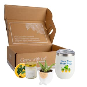 Gift Occasion Box with 2 in. Grower's Choice Succulent in Decor Planter, Candle and Tumbler