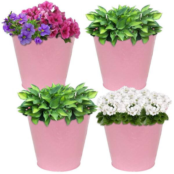 Scheurich 8.3 in. (21 cm) Dia./7 in. Tall Solido Resea Pink Ceramic Pot Twin Pack, Rosea Pink