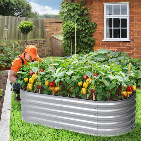 Helly Rust Garden Beds Aoodor 4x2x1 Ft Galvanized Raised Garden Bed – Oval Design ...