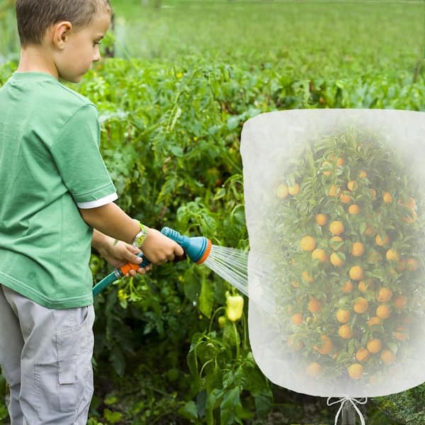tobacco netting for blueberry bushes Bird Bushes, 3 Pack 4.9 X 3.2 Ft Cicada Netting for Fruit Trees, Blueberry Bush Netting Cover, Protective Garden Plant Covers for Tomatoes, Flowers, Vegetables : Patio, Lawn & Garden different sizes can meet the protection needs of fruit trees at various growth stages For those with blueberry bushes...