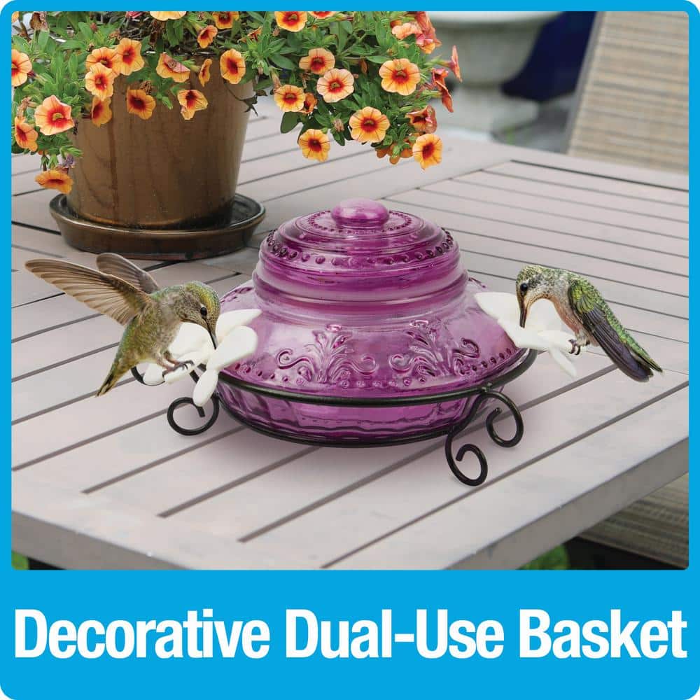 Antique Plum Glass Hanging Hummingbird Feeder with Flower Ports