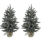 Fraser Hill Farm 4 ft. Pre-Lit Potted Pine Artificial Christmas Tree ...