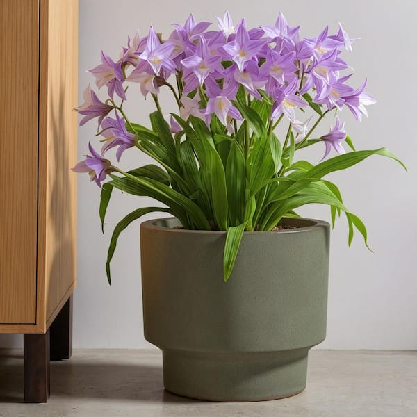 Dovelina Green Set of 3 Mixed Size Outdoor Ceramic Plant Pots