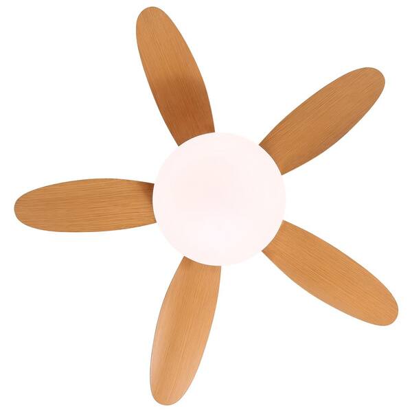 Amazon.com: ZXXHNNAIH Pendant Lights, Modern LED Ceiling