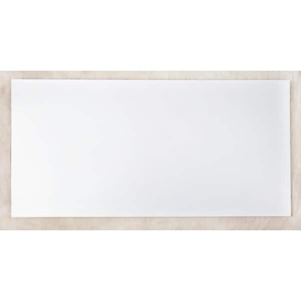Unbranded 2 ft. x 4 ft. Lay-in Ceiling Panel