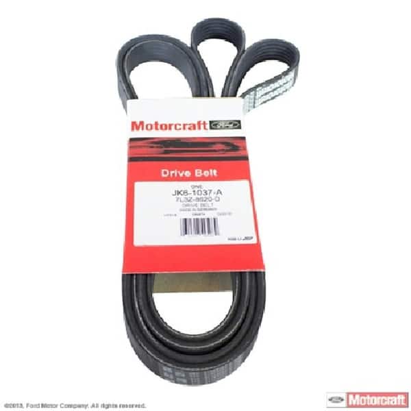 Serpentine Belt