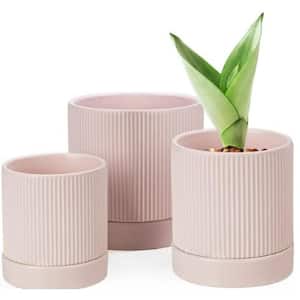 Modern 6 in. L x 6 in. W x 6 in. H Pink Ceramic Round Indoor Planter (3-Pack)