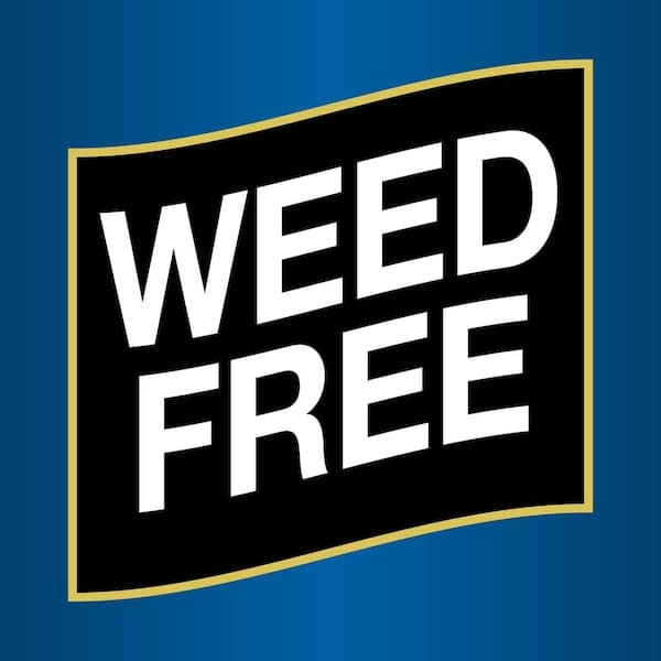 Pennington - 4 ft. W, 50 ft. L Wheat Straw Seed Starter Germination Blanket Weed-Free Biodegradable for Hills and Slopes