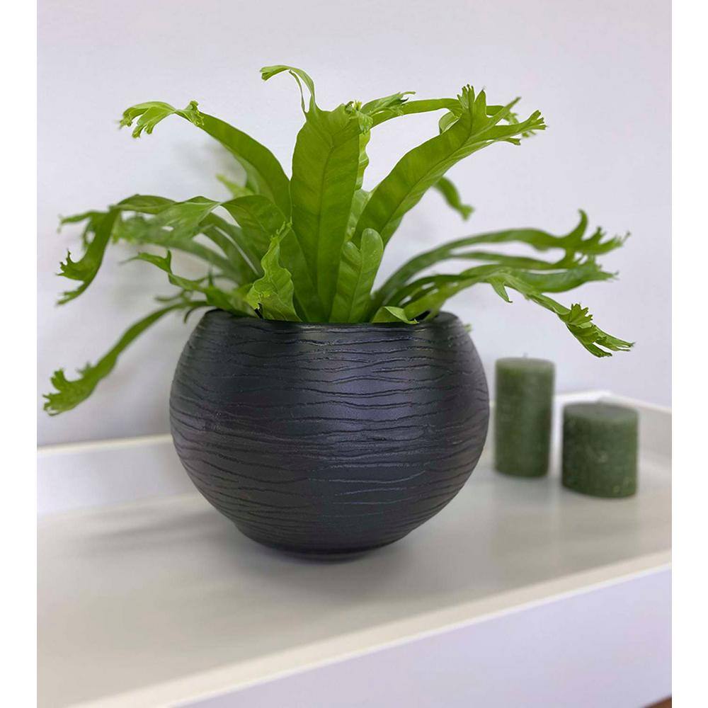 Black Polyethylene Resin Indoor/Outdoor Planter with Saucer