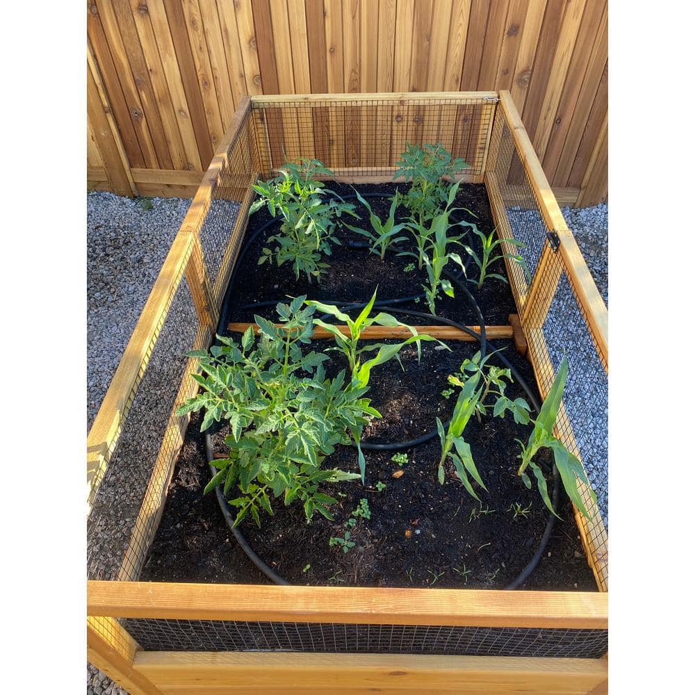 6 ft x 3 ft Cedar Raised Garden Bed with Wire Mesh