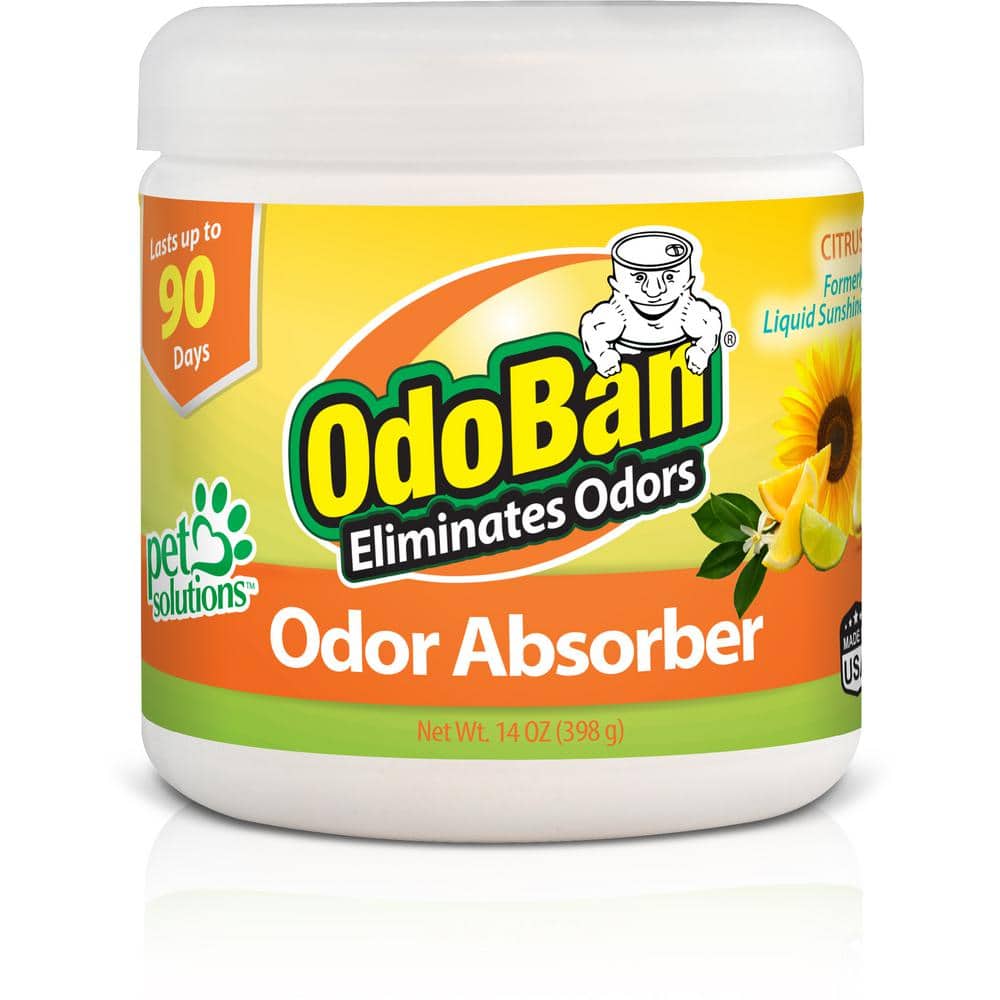 Smells Begone Citrus Scent Odor Absorber 15 oz Gel - Yahoo Shopping