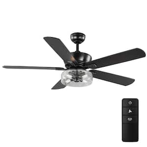 Aberwell 56 in. LED Matte Black Indoor/Outdoor Ceiling Fan with Light Kit and Remote Control