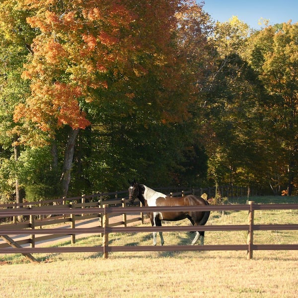 CenFlex 5 in. x 660 ft. Brown Flexible Rail Horse Fence