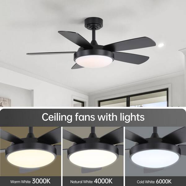 CACI Mall 42 in. Indoor/Outdoor Dimmable Integrated LED