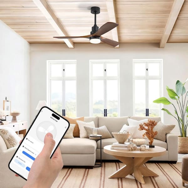 Sofucor 52 in. Indoor/Outdoor Black Smart Downrod Mount Ceiling