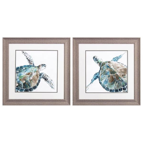 Paragon Neutral Sea Turtle by Robinson 2-Piece Framed Animal Poster 19 in. x 19 in.