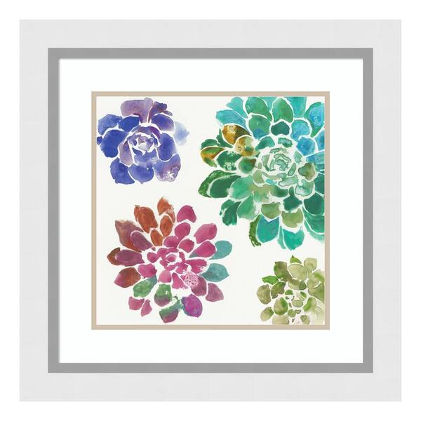 Amanti Art "Water Succulents II" by Aimee Wilson Framed Wall Art