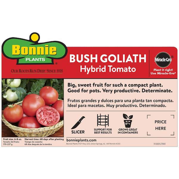 19 oz. Goliath Tomato Bush Plant