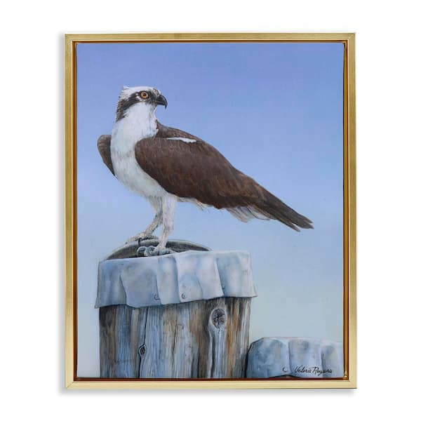 Stupell Industries Harbor Master Bird Perched by Valerie Rogers Gold Floater Frame Animal Graphic Art Print 21 in. x 17 in.