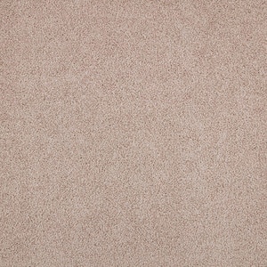 8 in. x 8 in. Texture Carpet Sample - Playful Moments I (S) -Color Harmony