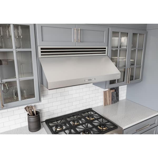 Zephyr Tidal I 30 in. Ducted Under Cabinet Range Hood with