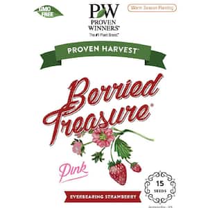 15-Count Seeds Berried Treasure Pink - Strawberry (Fragaria) Pink Flowers and Red Strawberries