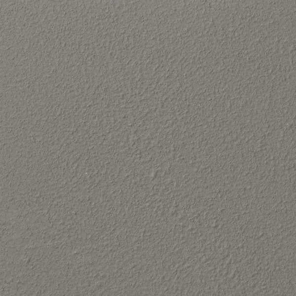 Ralph Lauren 13 in. x 19 in. #RR113 Canyon Fossil River Rock Specialty Paint Chip Sample