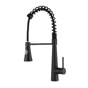 Single Handle Pull-Down Sprayer Kitchen Faucet with Dual Function Spray Head in Matte Black