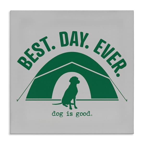 Stupell Industries Best Day Camping Dog by Dog Is Good Unframed Animal Graphic Art Print 36 in. x 36 in.