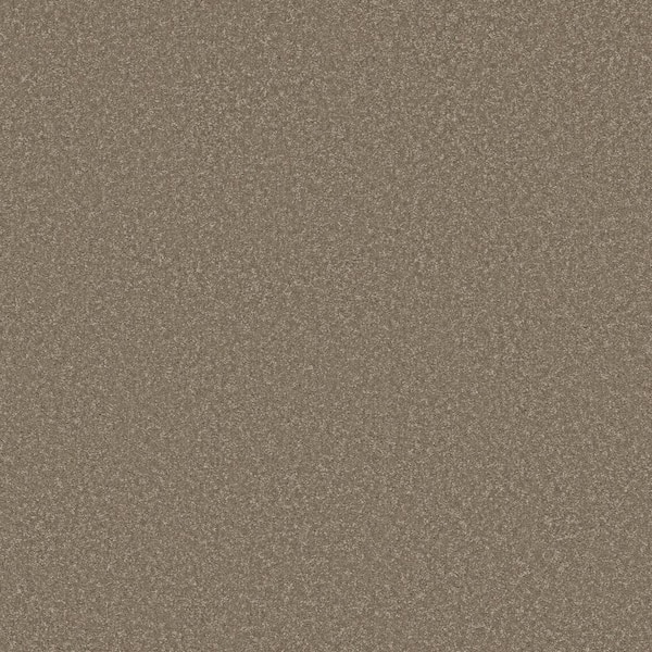 Vacation Beach House Brown 42 oz. SD High Performance Polyester Texture Installed Carpet