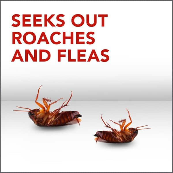 Raid 1.5 oz. Deep Reach Insect Foggers (3-Pack) SCJ081595 - The