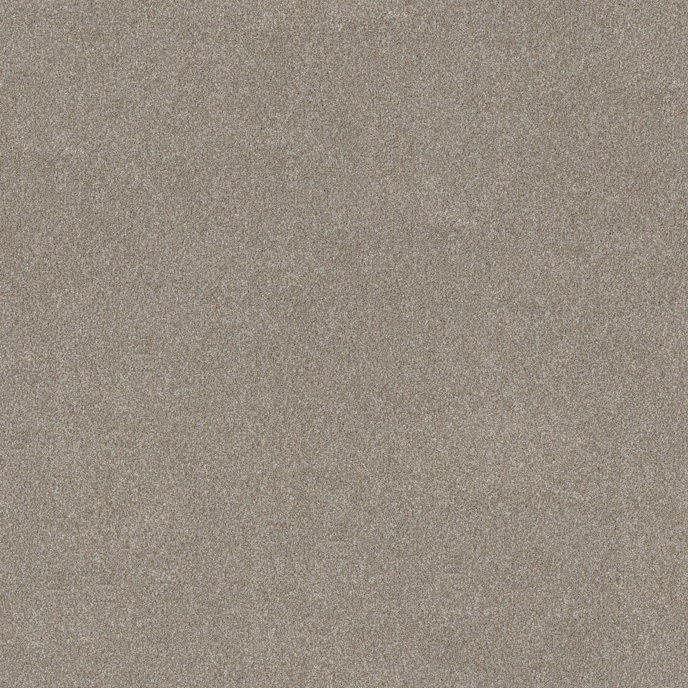 8 in. x 8 in. Texture Carpet Sample - Gifted Moments II - Color Mocha price history on PriceWatchPro