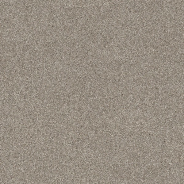 8 in. x 8 in. Texture Carpet Sample - Gifted Moments I - Color Mocha