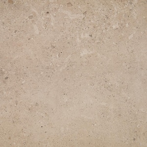Dignitary Notable Beige 24 in. x 24 in. Color Body Porcelain Paver Tile (182.4 sq. ft./pallet)