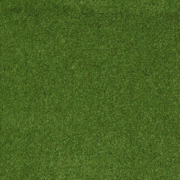 TrafficMaster Toulon 12 ft. Wide x Cut to Length Indoor/Outdoor Meadow Artificial Grass