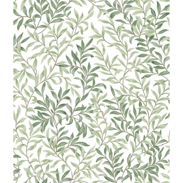 NuWallpaper Herb Green Terrace Vines Vinyl Matte Peel and Stick Wallpaper Sample