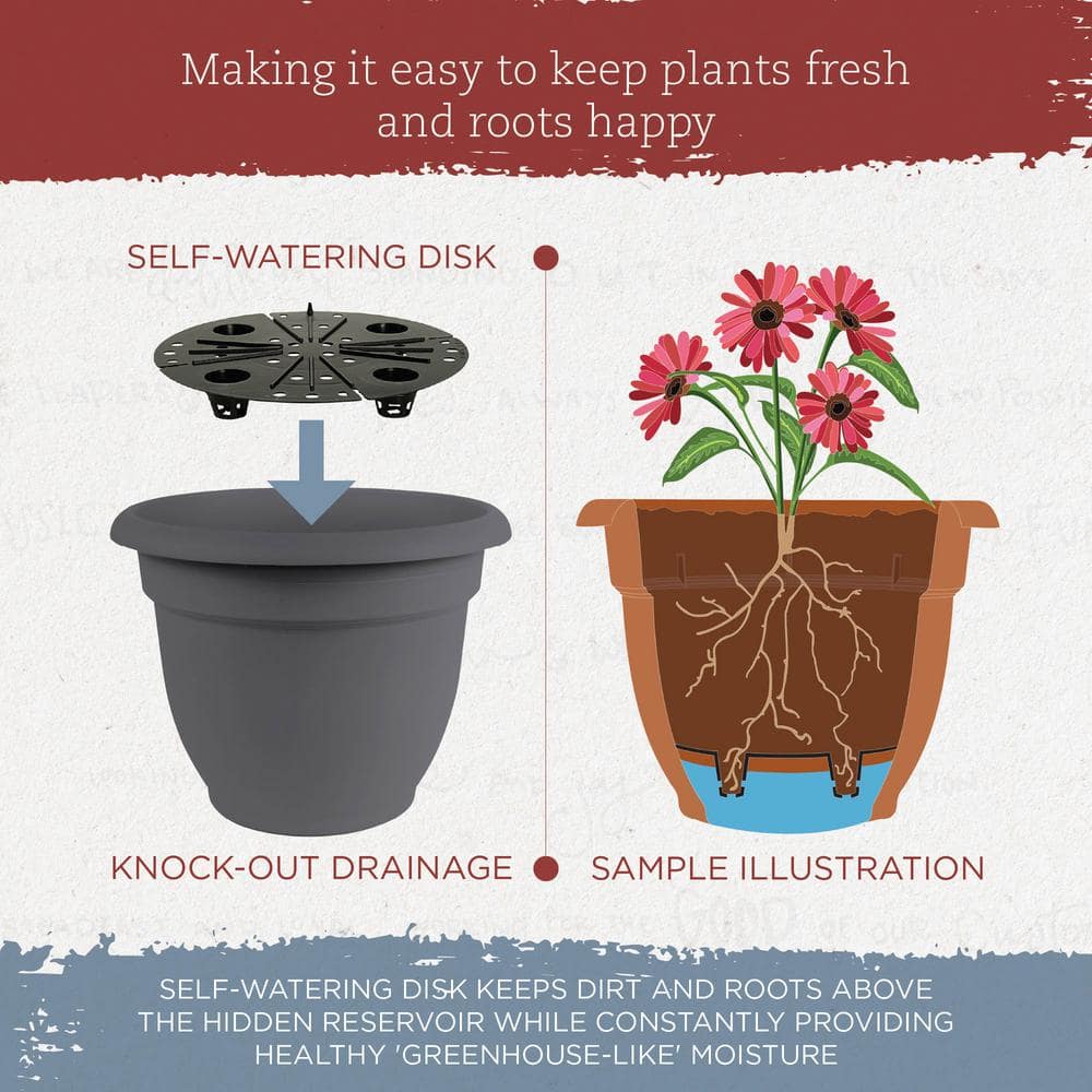 Bloem 12" Charcoal Self-Watering Round Planter for Indoor & Outdoor