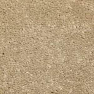 Sycamore I - Chestnut - Brown 45 oz. SD Polyester Texture Installed Carpet