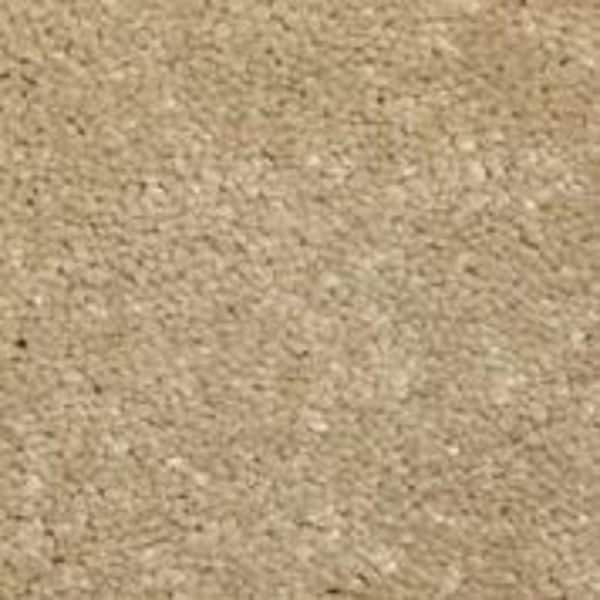 Home Decorators Collection Sycamore I - Chestnut - Brown 45 oz. SD Polyester Texture Installed Carpet