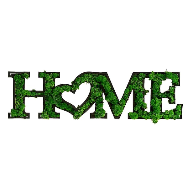 Unbranded Hot Sale Metal Framed HOME Letter Art Moss Wall Decor 8.5 in. x 31.5 in for Home Decor, Living Room