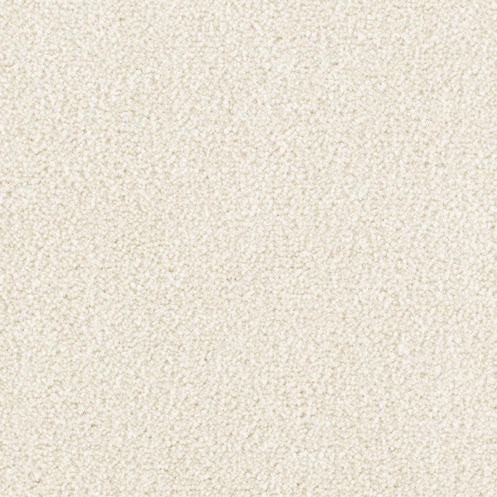 8 in. x 8 in. Texture Carpet Sample - Silver Mane I -Color Almost White price history on PriceWatchPro