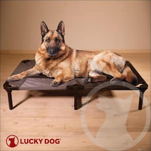 Extra Large 48 in. Gray Elevated Pet Bed Comfort Cot