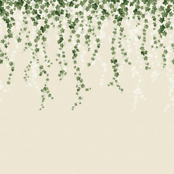 Green Trailing Ivy Wall Mural