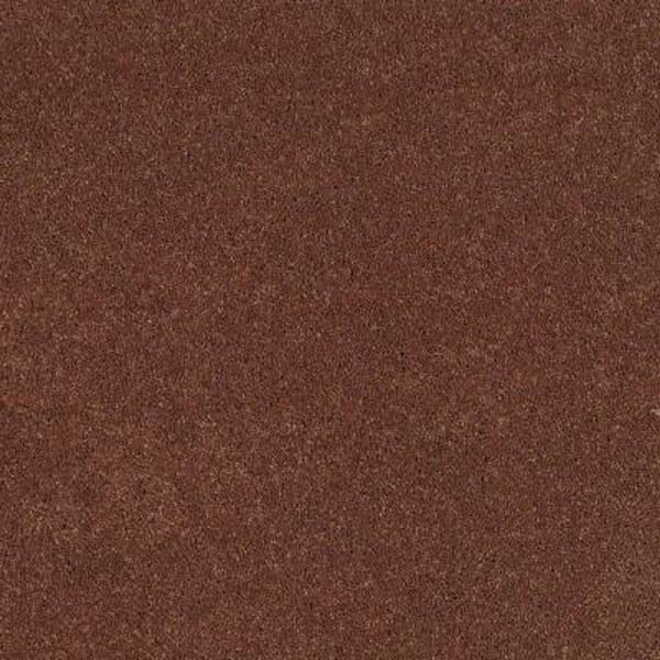 SoftSpring Carpet Sample - Tremendous II - Color Paprika Texture 8 in. x 8 in.